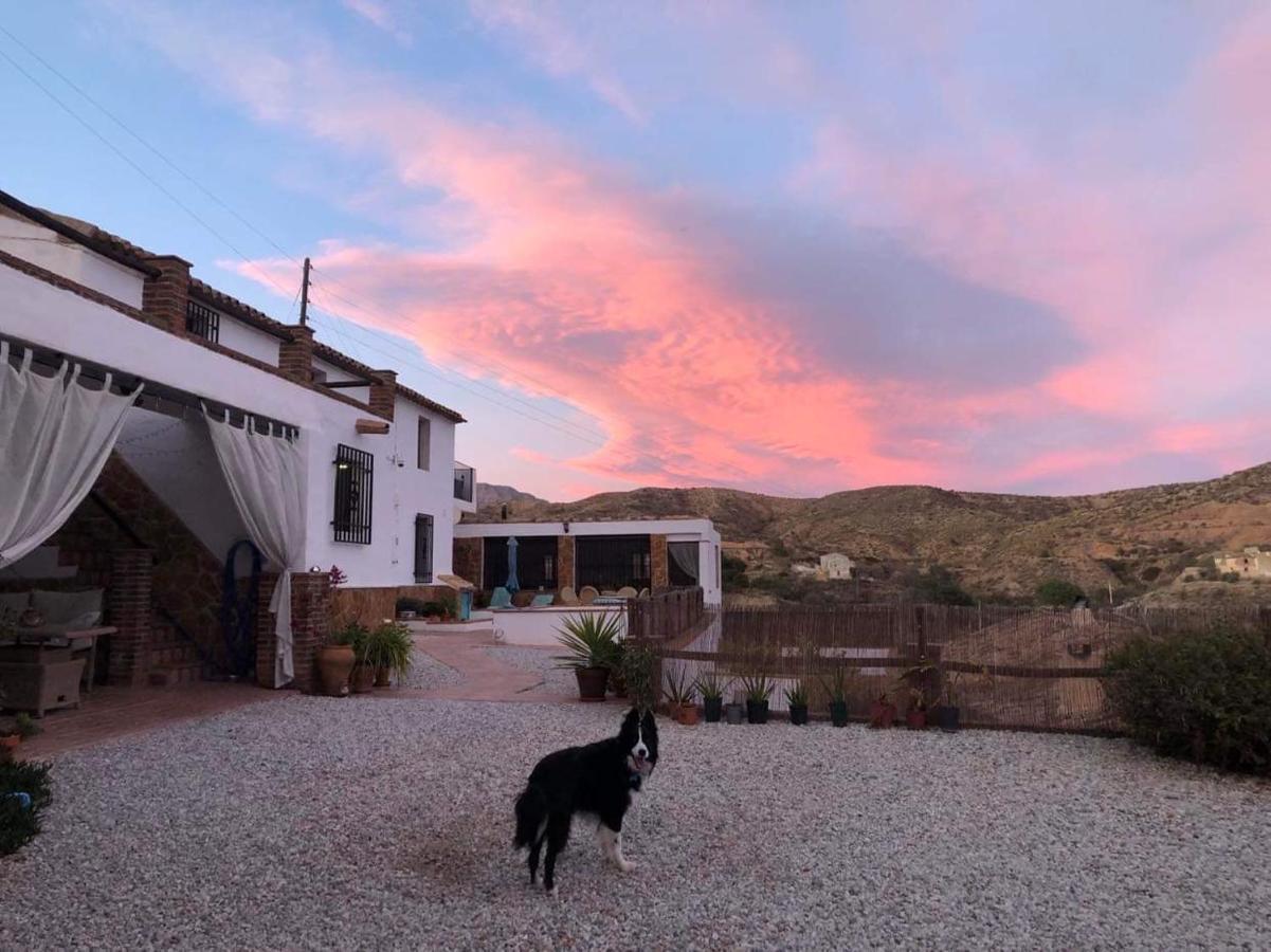 Cortijo Perejil, A Tranquil Mountain Escape & Private Pool Apartment Oria Bagian luar foto