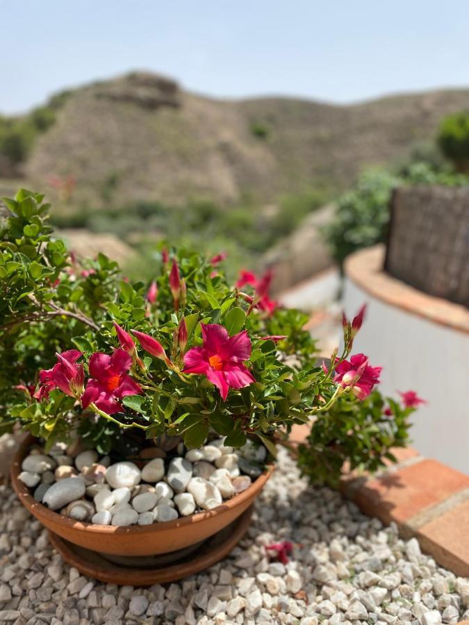 Cortijo Perejil, A Tranquil Mountain Escape & Private Pool Apartment Oria Bagian luar foto