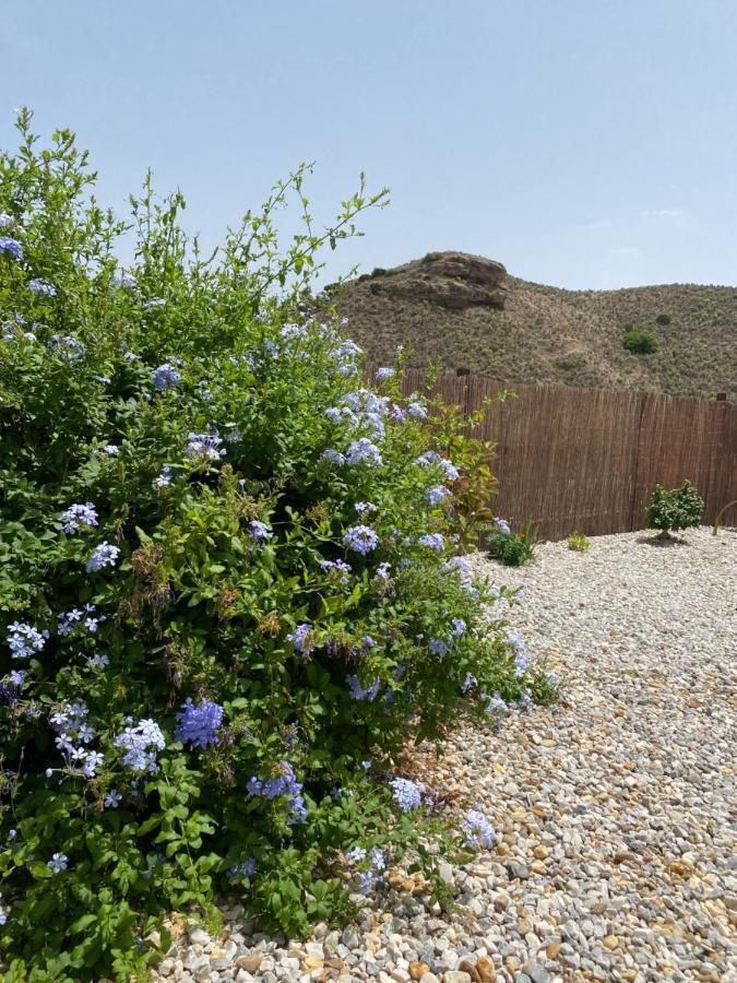 Cortijo Perejil, A Tranquil Mountain Escape & Private Pool Apartment Oria Bagian luar foto